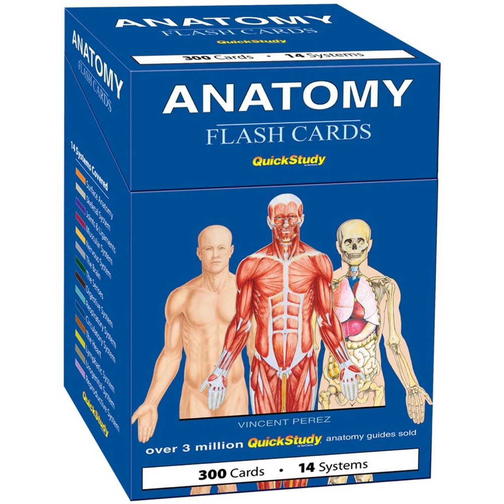 ANATOMY FLASH CARDS
